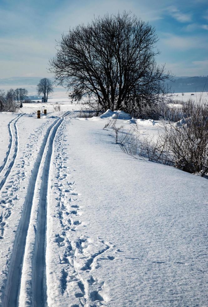 ruta a campo traviesa en la nieve foto