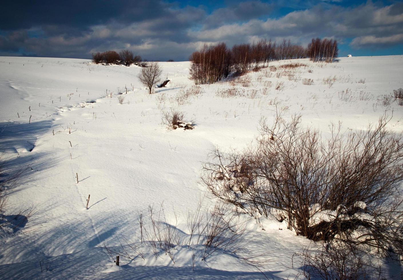 paisaje nevado de invierno foto