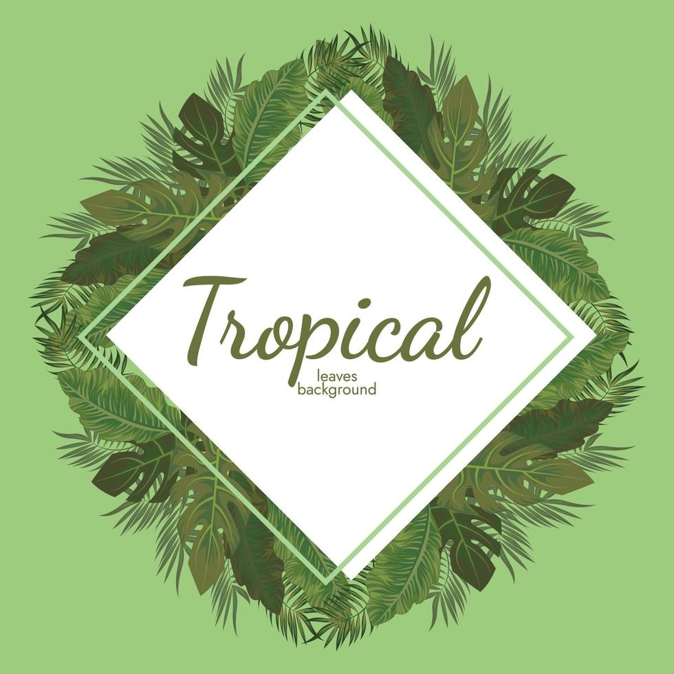 tropical leafs background green illustration vector design