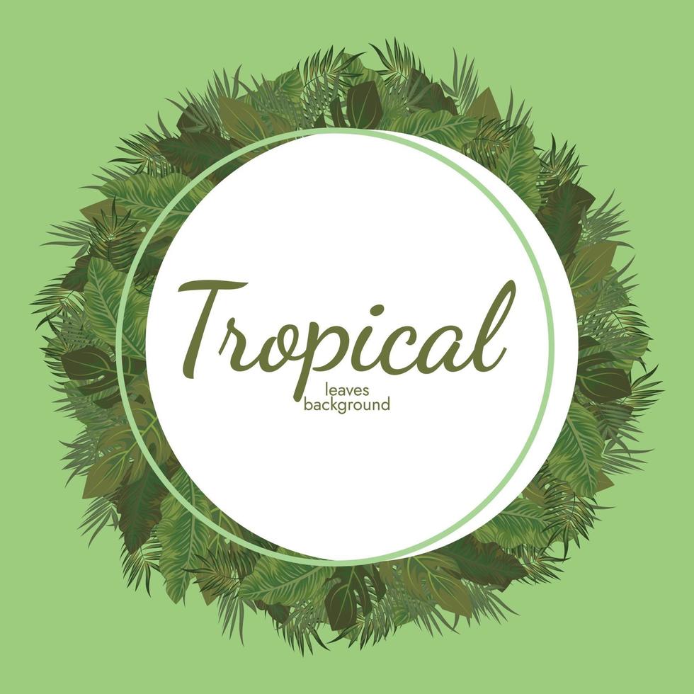 Diseño de vector de ilustración verde de fondo de hojas tropicales