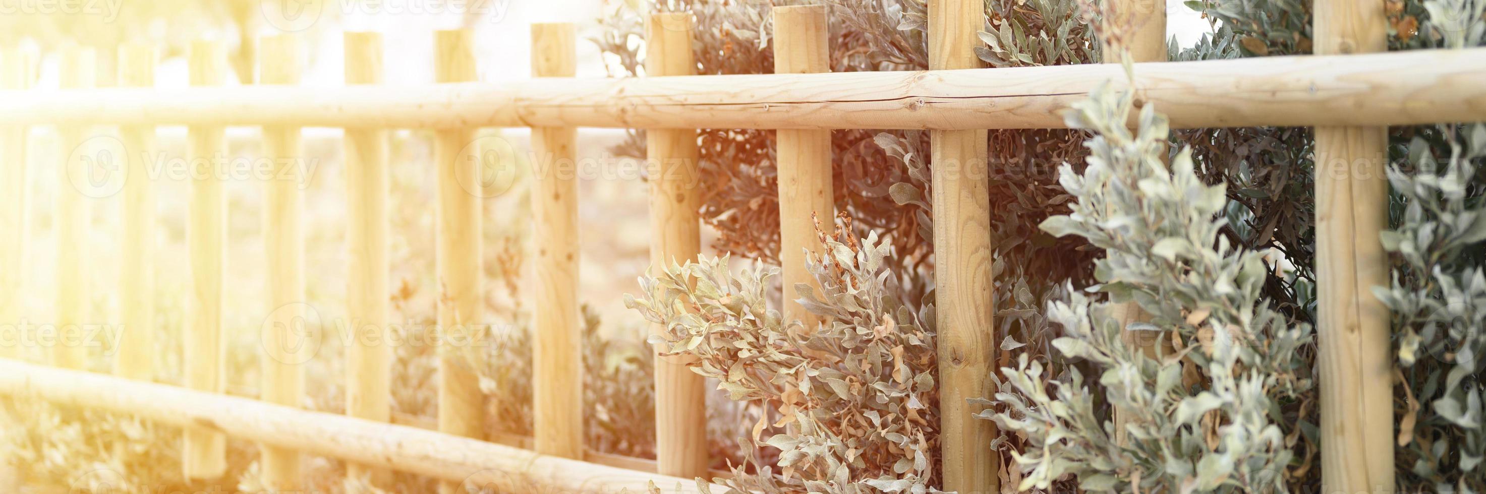 Decorative wooden fence and white green bushes plants photo