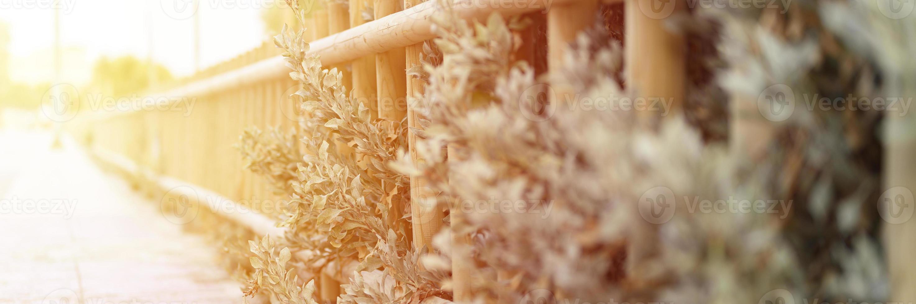 valla de madera decorativa y arbustos verdes blancos foto