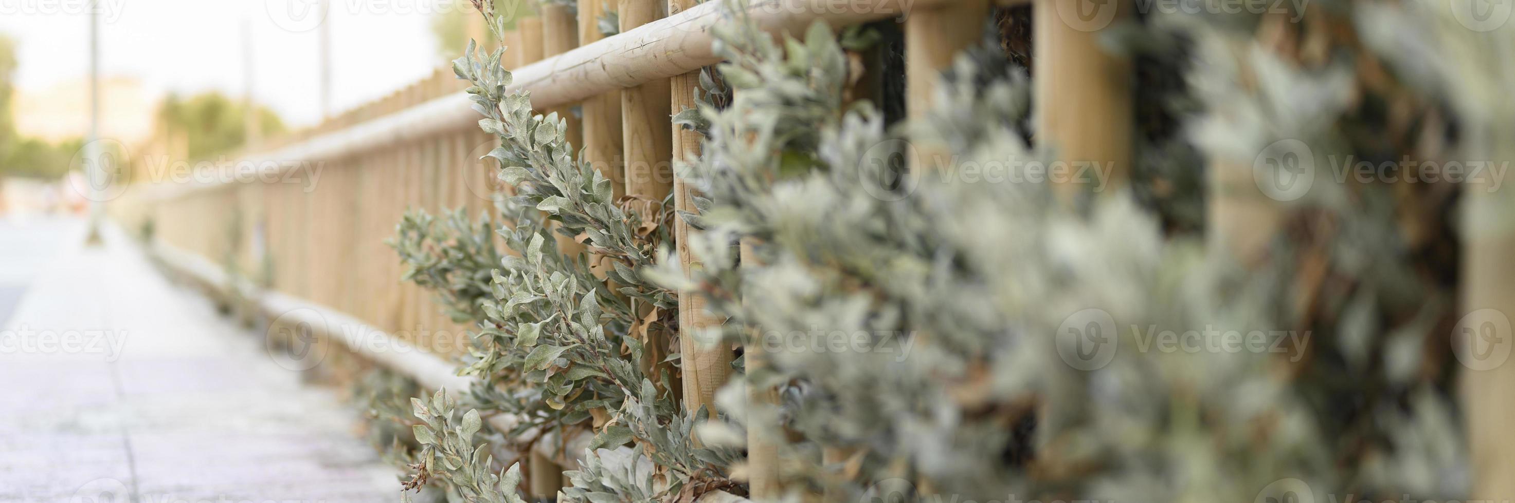 valla de madera decorativa y arbustos verdes blancos foto