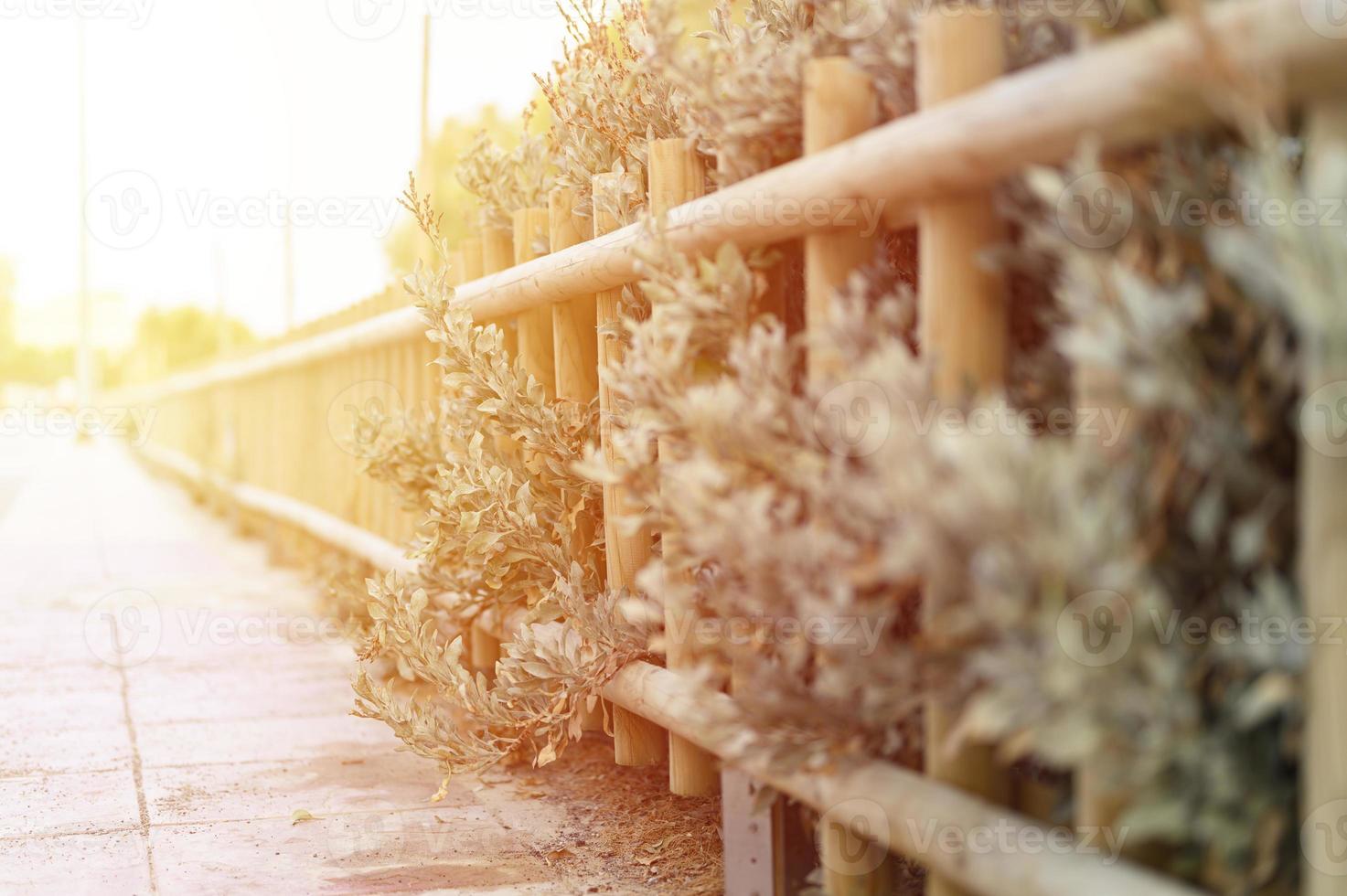 Decorative wooden fence and white green bushes photo