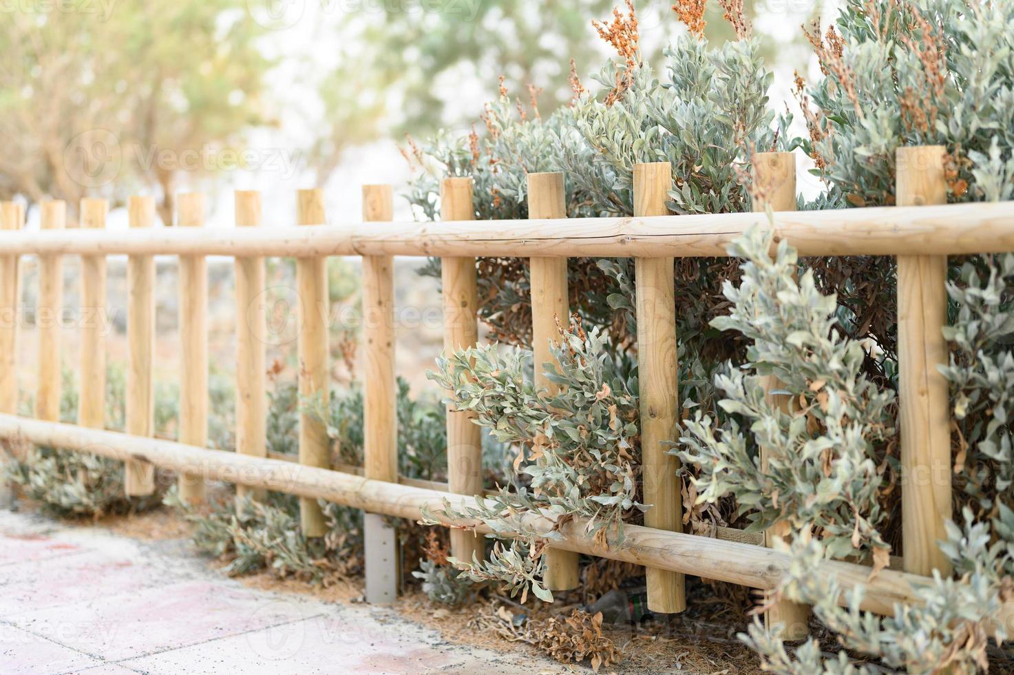 Decorative wooden fence and white green bushes photo