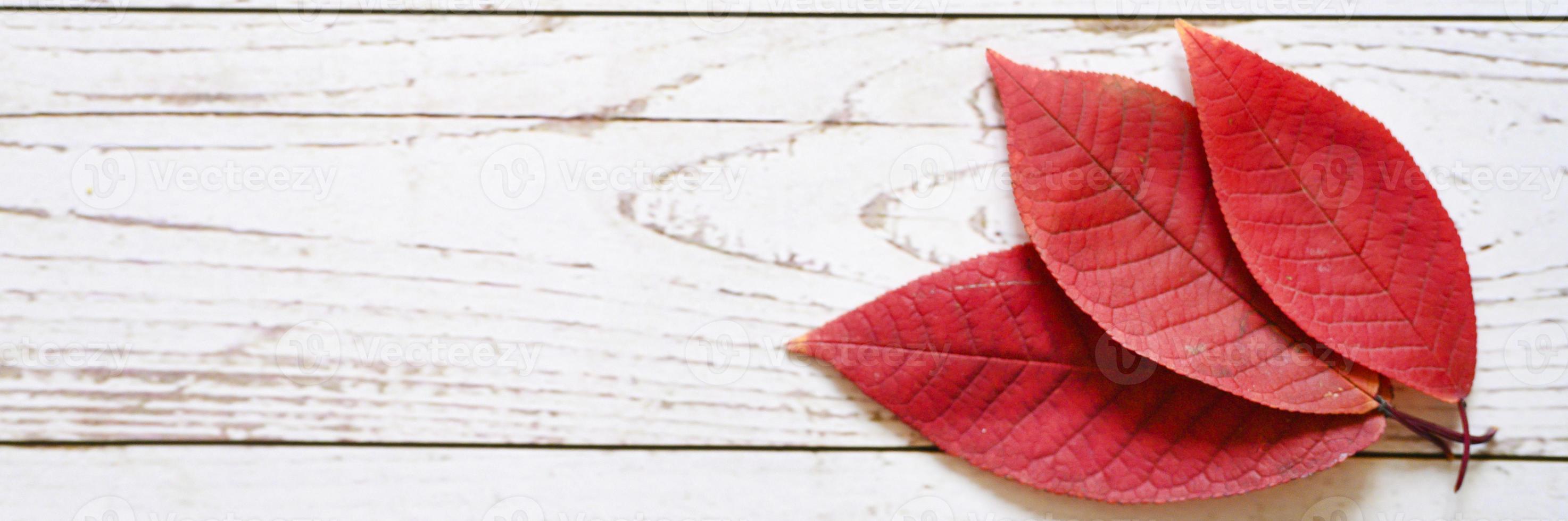 Varias hojas caídas de otoño rojo sobre un fondo de tablero de madera clara foto