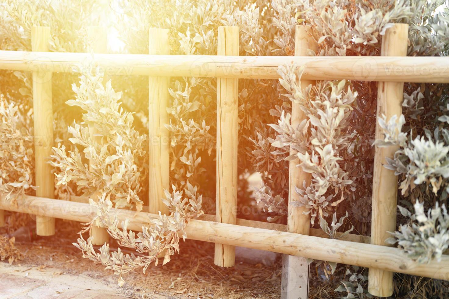 Decorative wooden fence and white green bushes photo