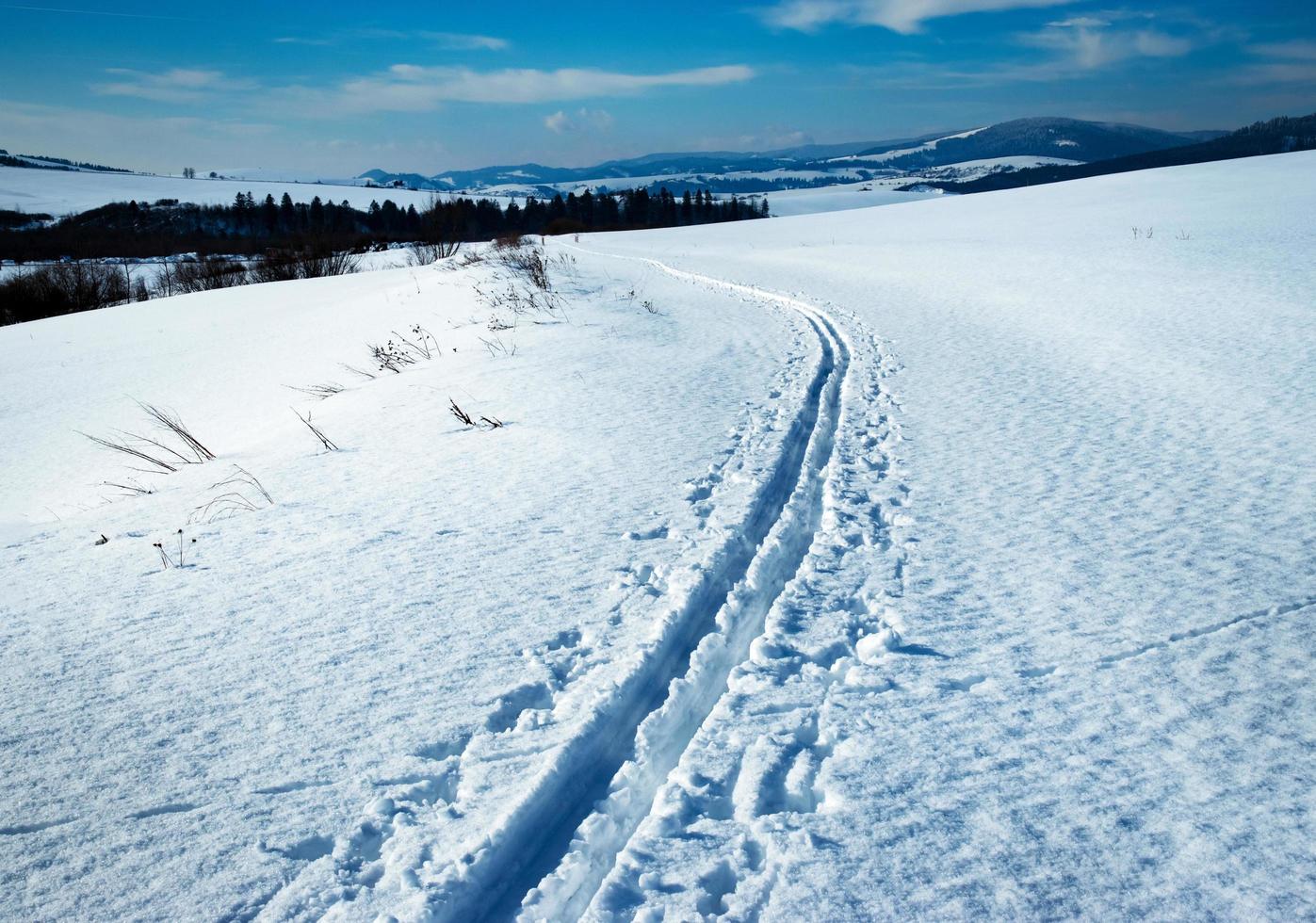 Snowy winter landscape with ski path photo