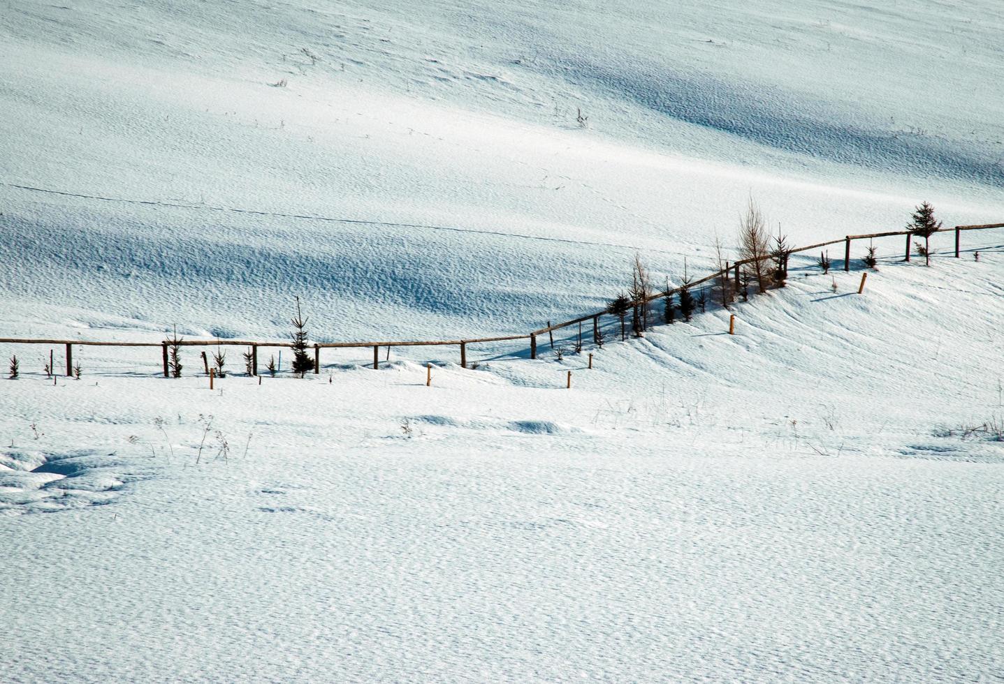 Snowy meadow with fence photo