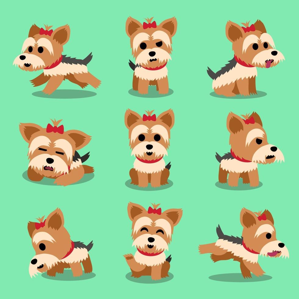 personaje de dibujos animados yorkshire terrier perro plantea conjunto vector