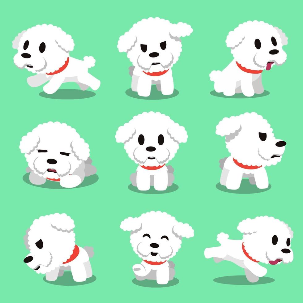 Cartoon character bichon frise dog poses vector