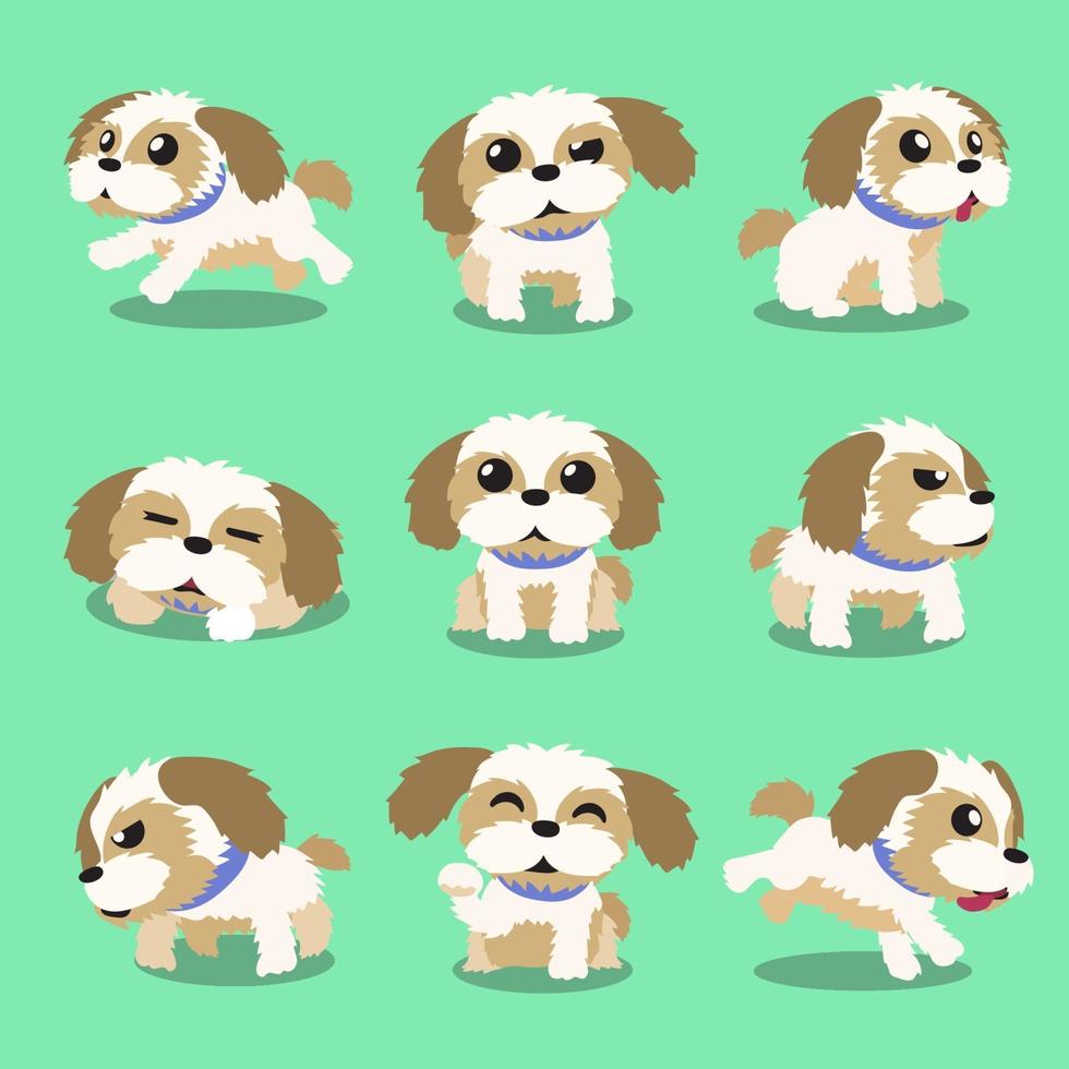 Cartoon character shih tzu dog poses vector