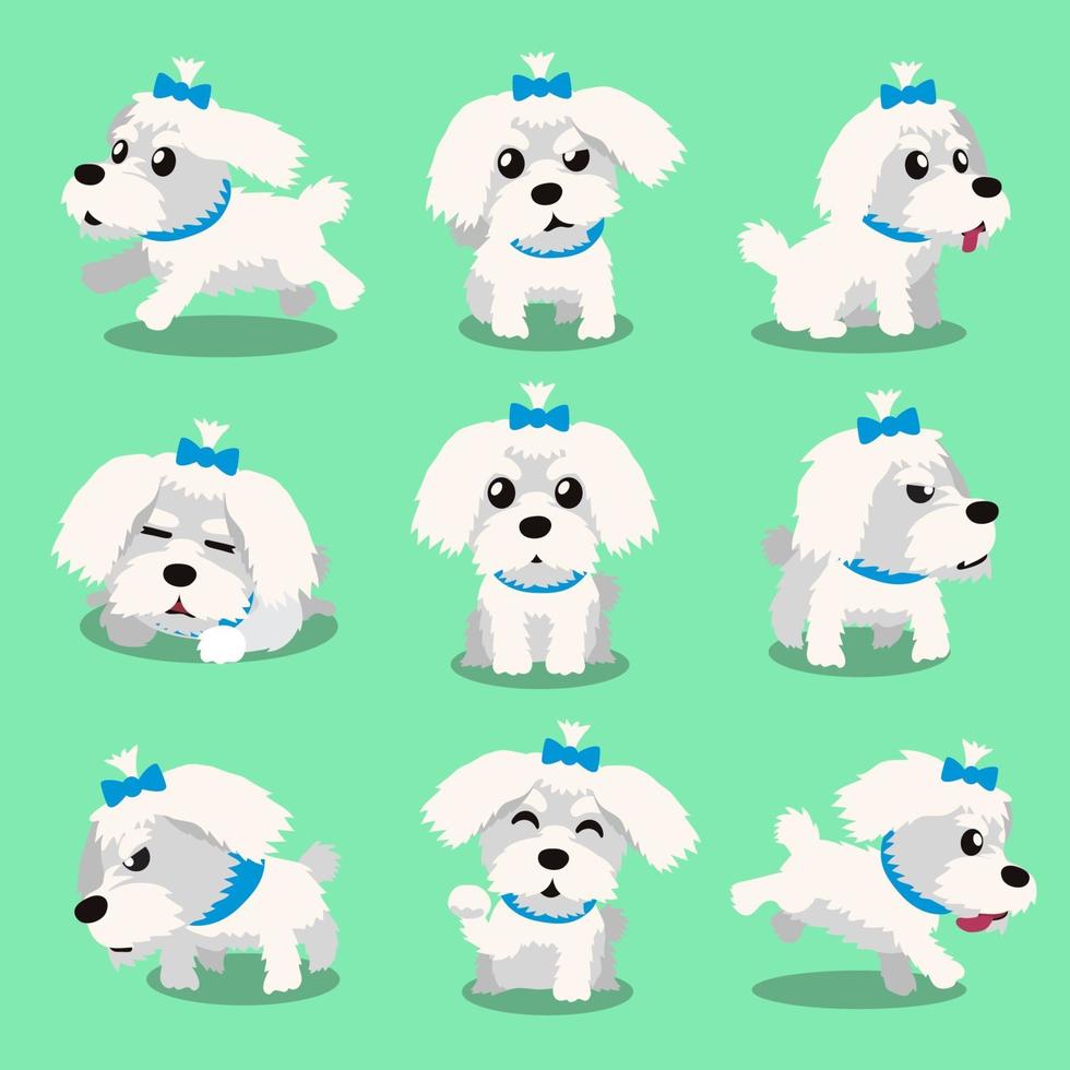 personaje de dibujos animados poses de perro maltés vector