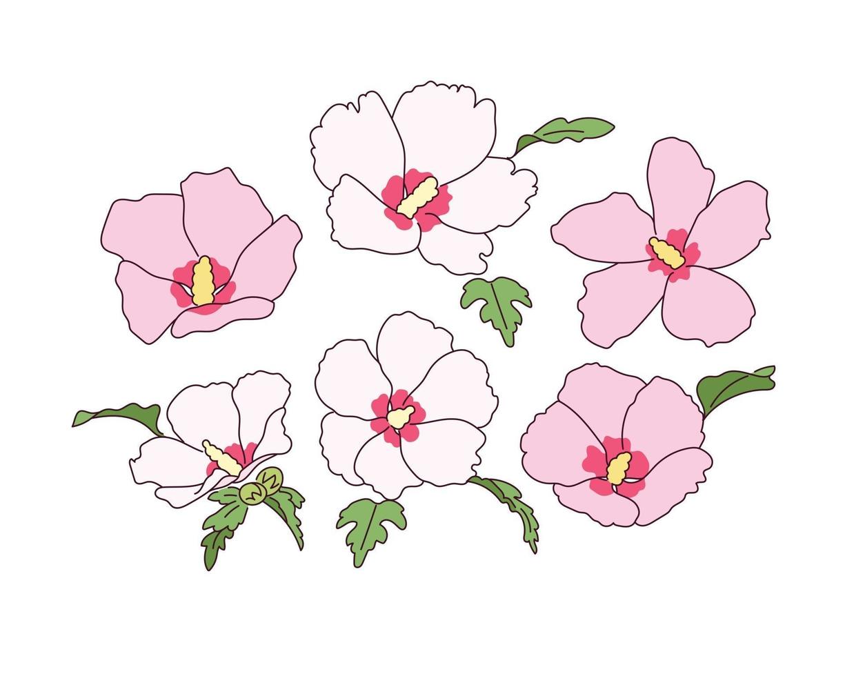 Rose of sharon flowers are in bloom. vector