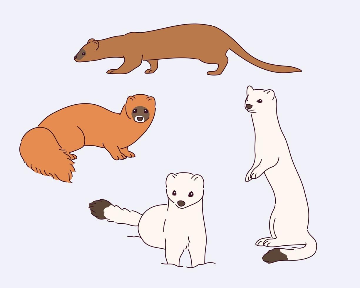 Cute marten illustration vector