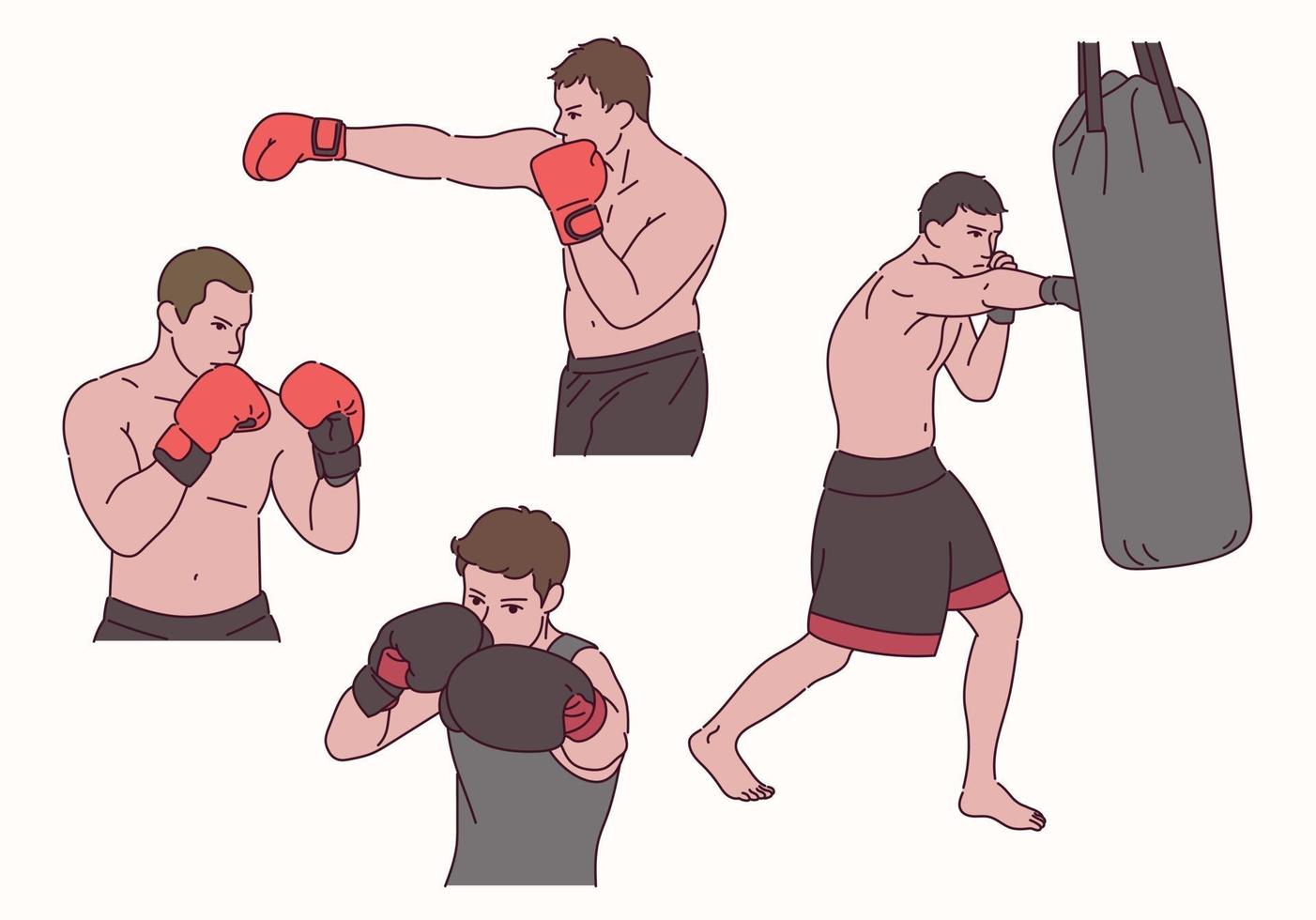 Boxer character postures. vector