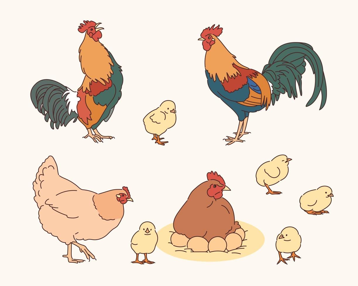 Ilustración de gallinas y pollitos de gallo vector