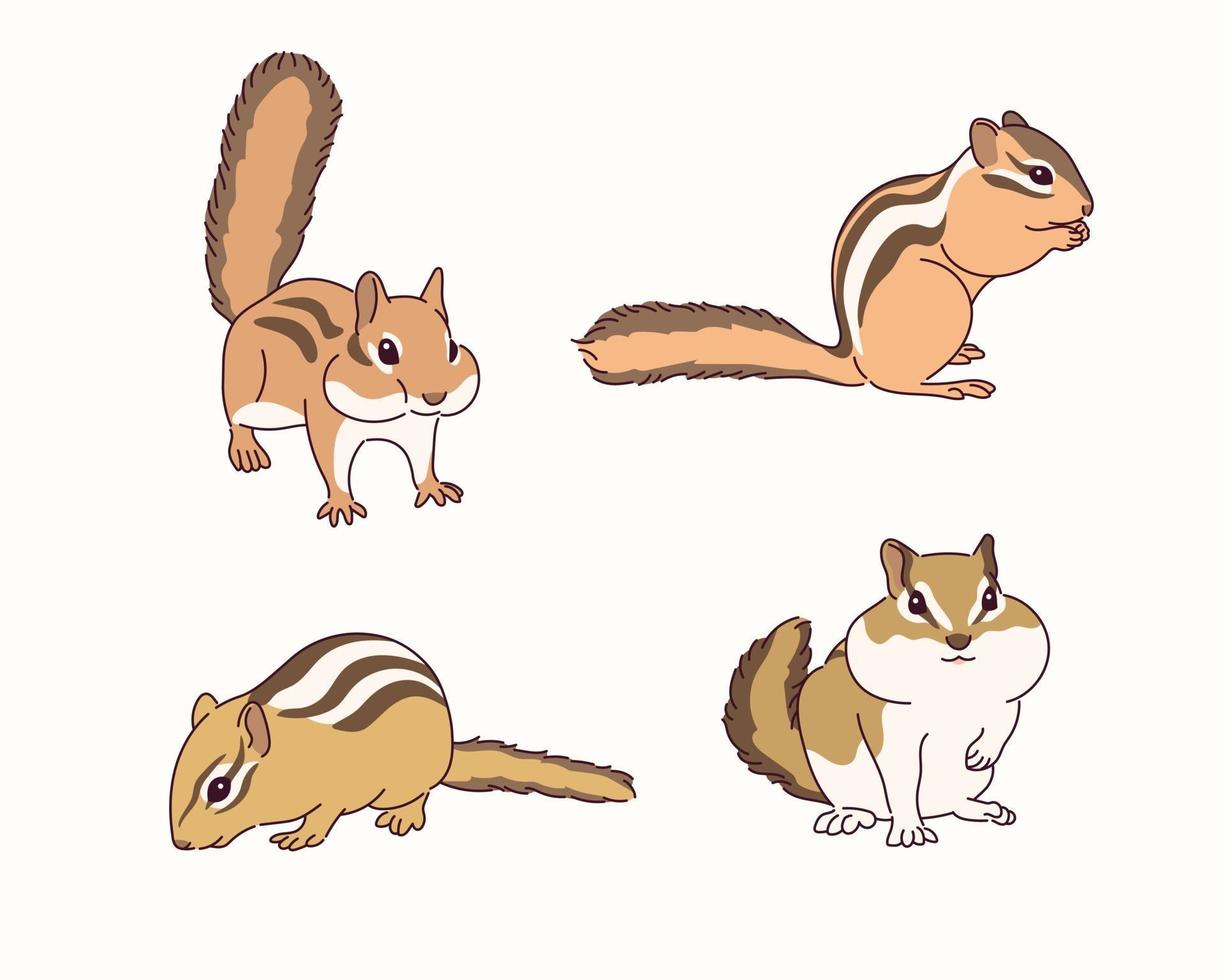 Cute squirrel illustration. vector