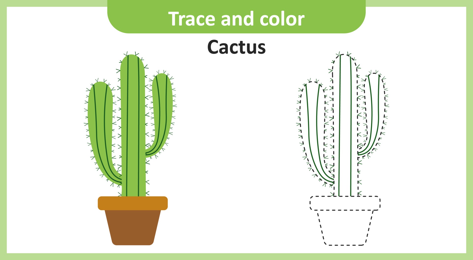 Cactus para bebe que habla