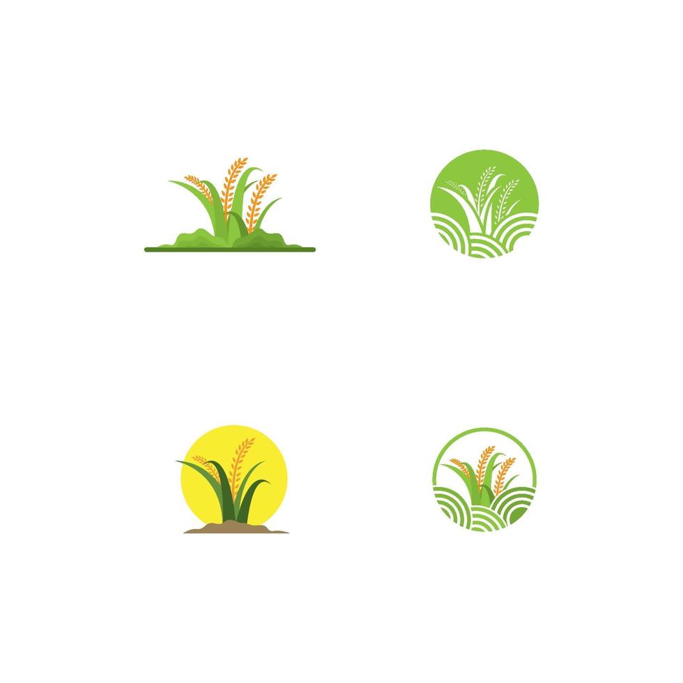 conjunto de iconos de logotipo de arroz vector