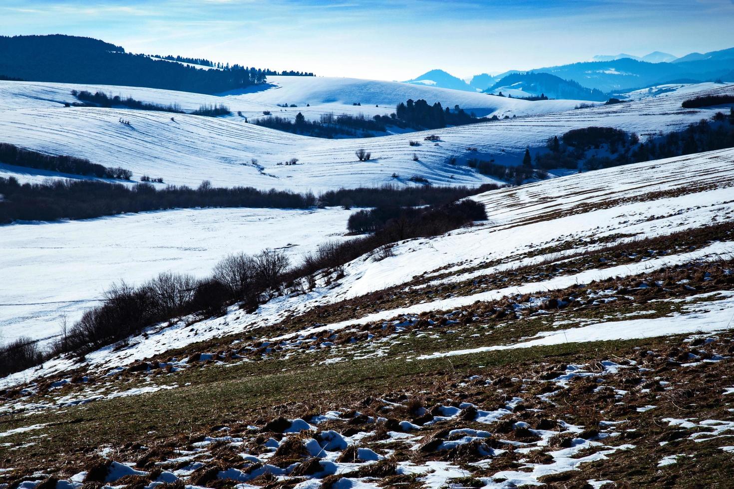 Melting snow on a winter landscape photo