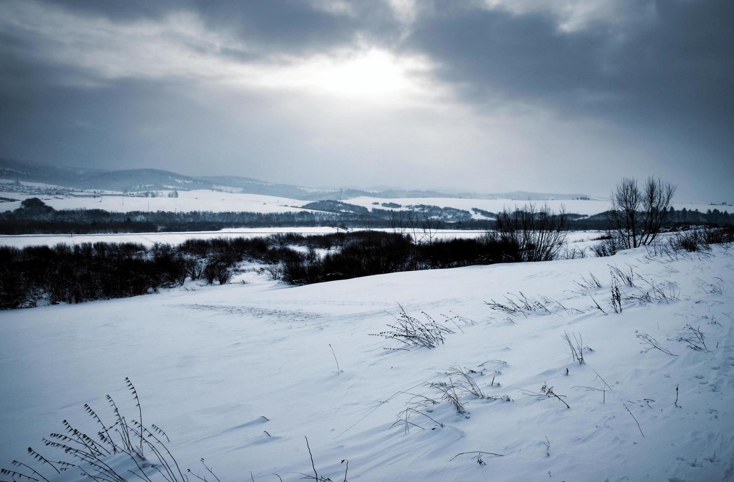 Gloomy winter landscape with snow photo