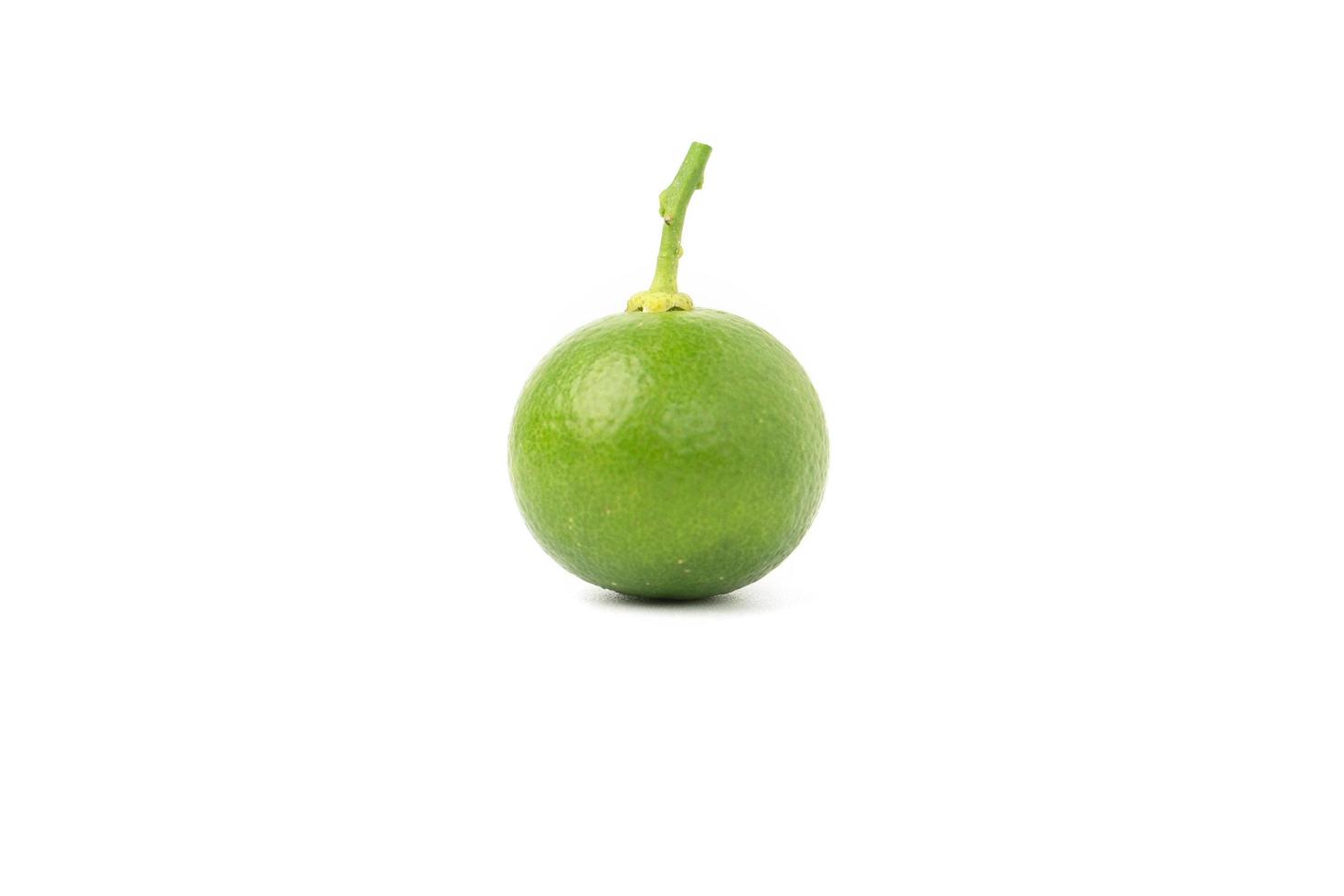 Lime isolated on white photo