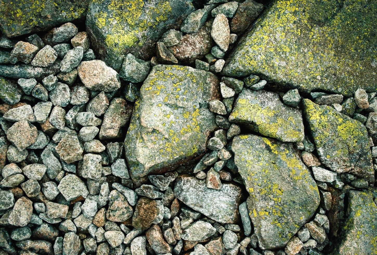 detalles de piedras con musgo foto