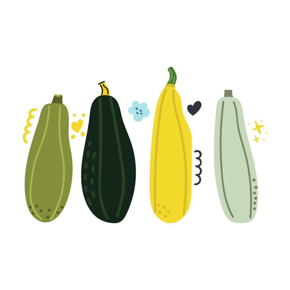 Hand drawn set of zucchini. Cute flat illustration. vector