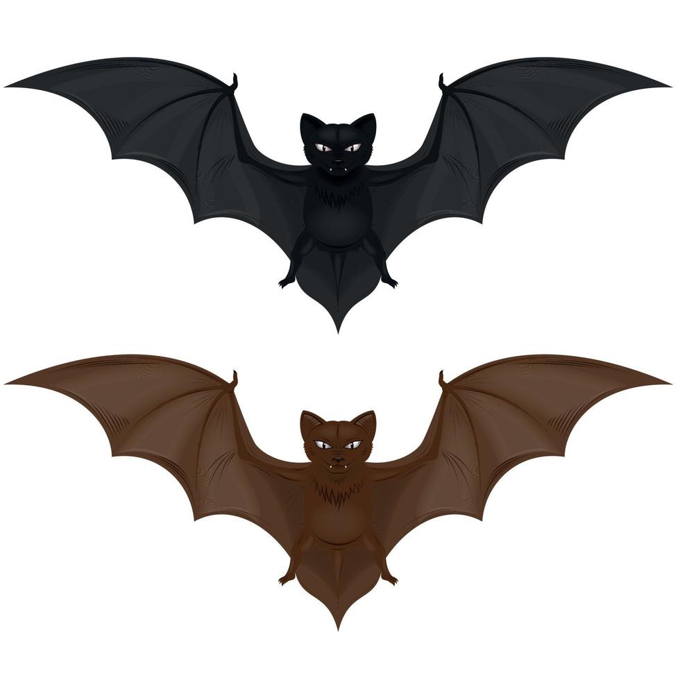 Vector design of two flying mammals, bat in two colors. All on white background.