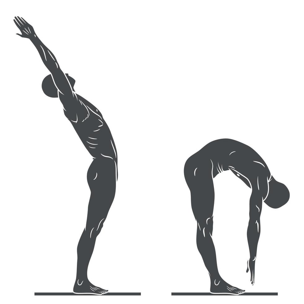 silhouette of the human body exercising vector