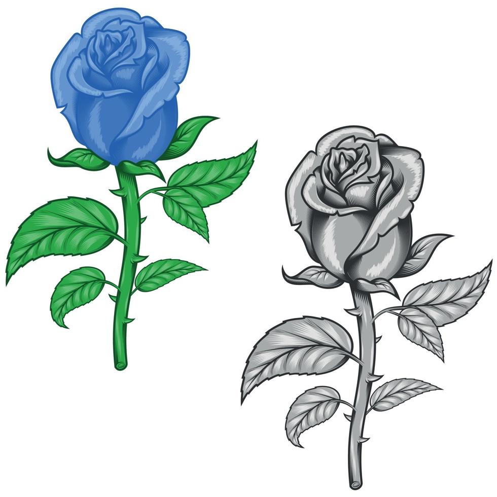 Vector design of blue and grayscale flowers