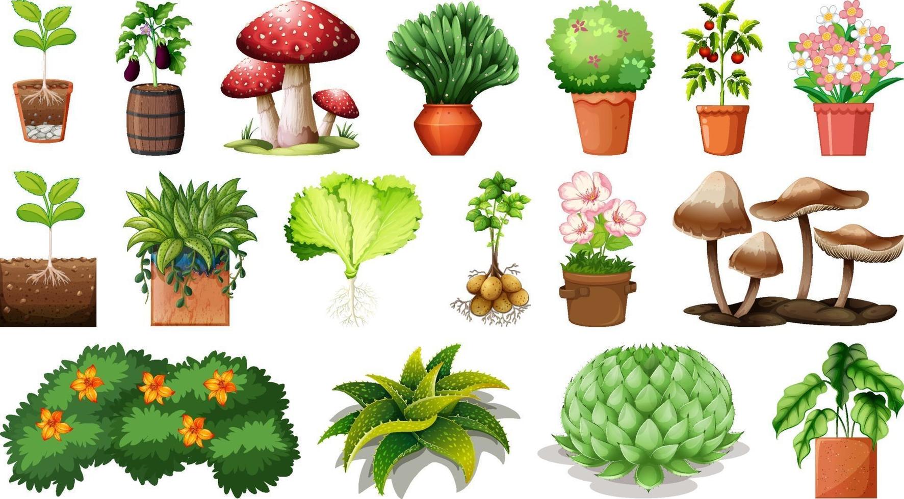 Conjunto de diferentes plantas en macetas aislado sobre fondo blanco. vector