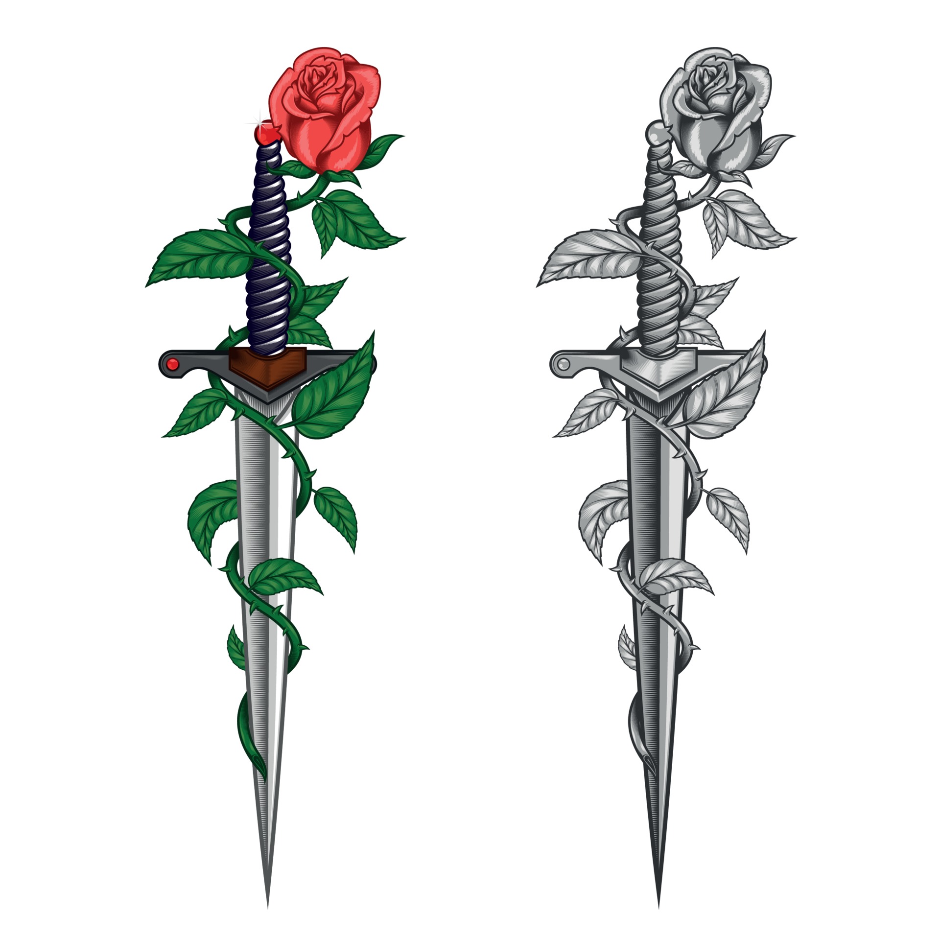 Rose with dagger 2178530 Vector Art at Vecteezy