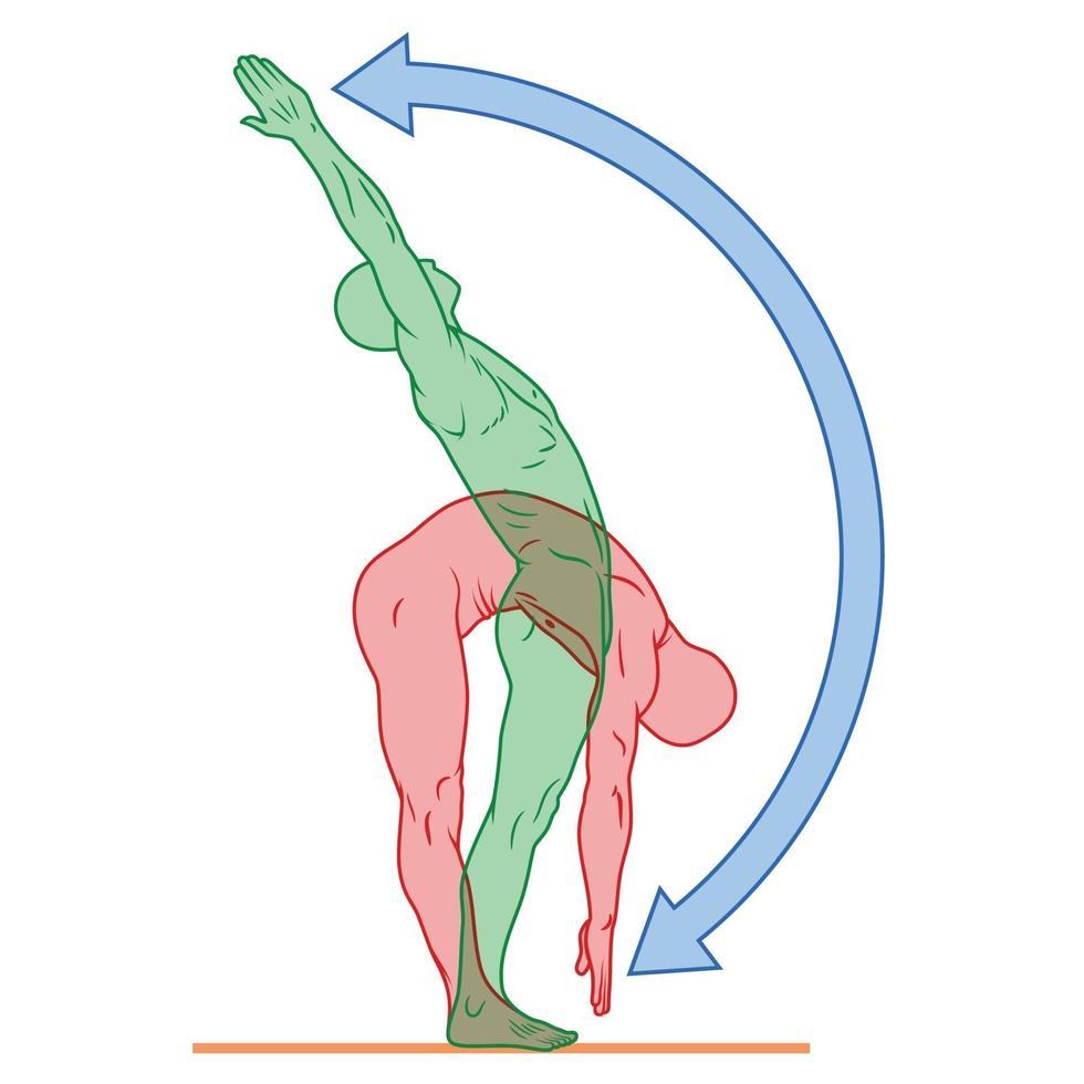 Illustration of human body in exercise pose, person doing physical exercise, person in good physical condition vector