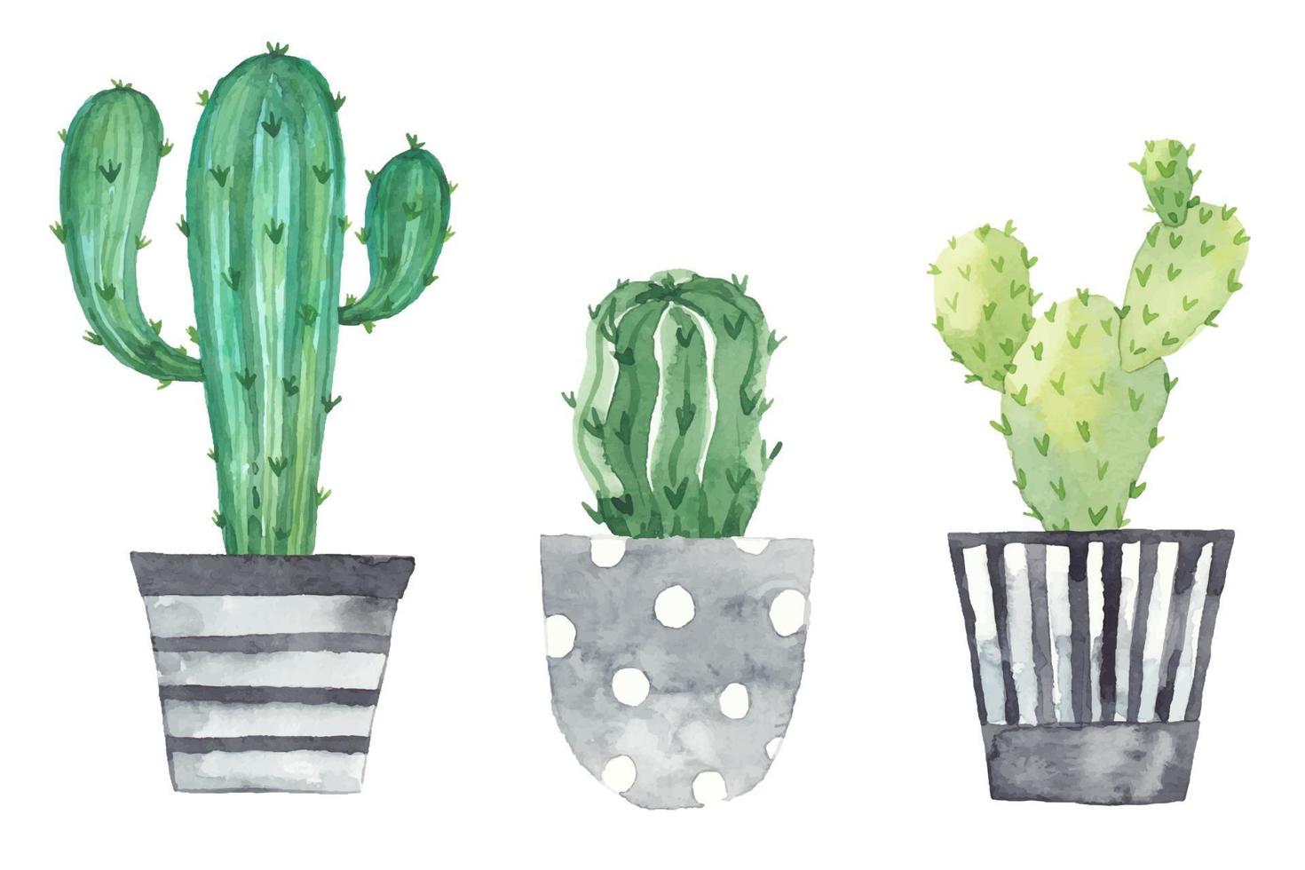 Set houseplants in pots painted in watercolor vector
