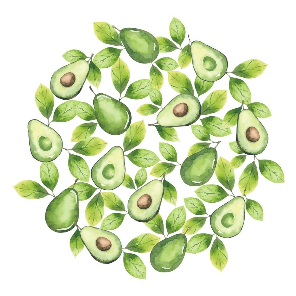 Round background from avocado elements and leaves vector