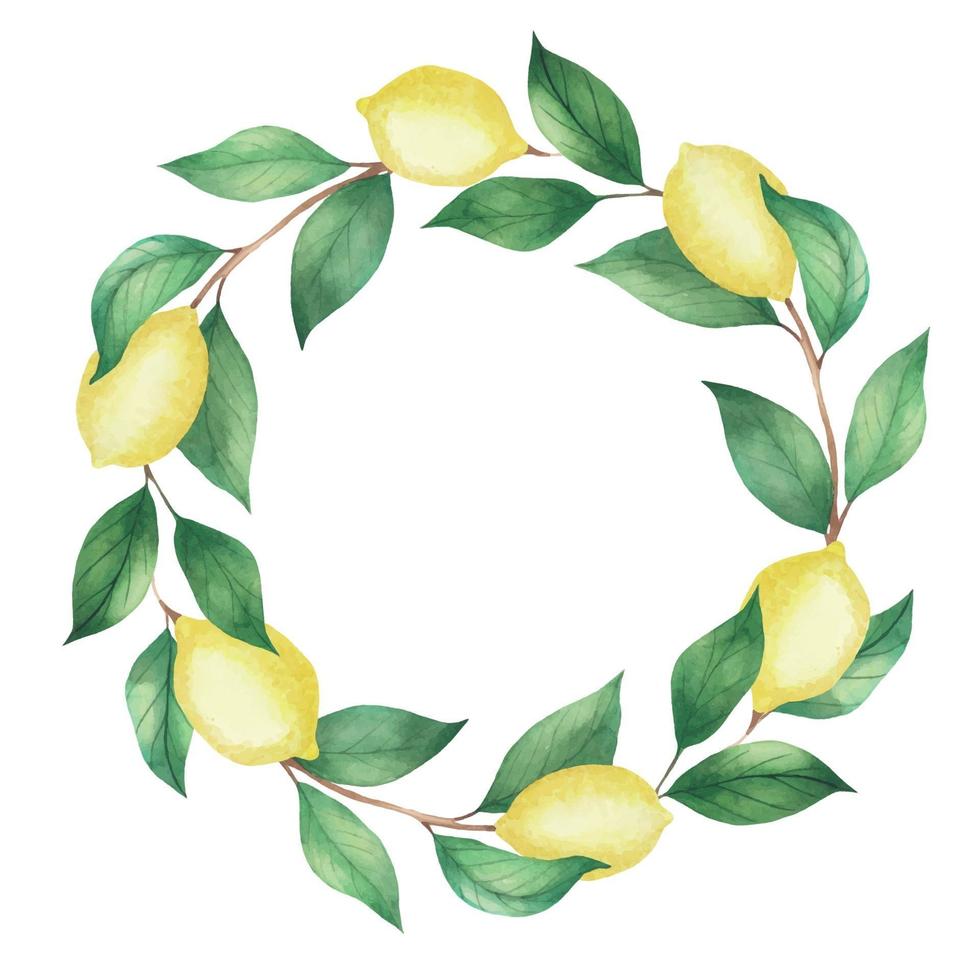 Watercolor wreath of lemons and green branches, leaves vector