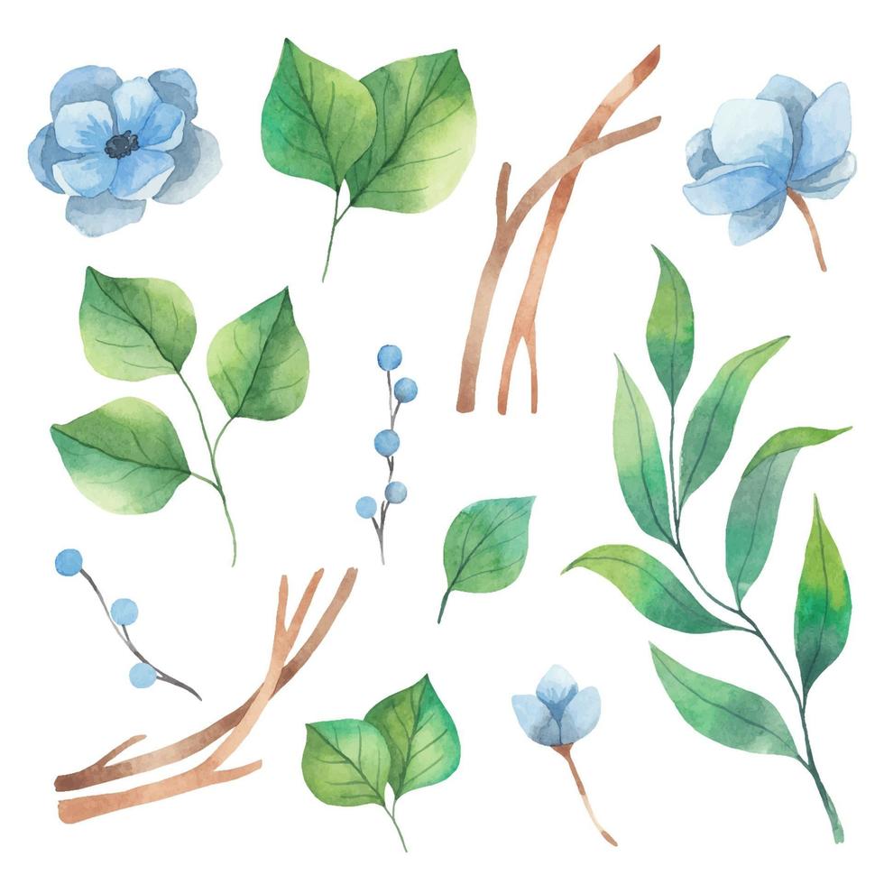 Spring watercolor set of floral elements from green leaves and blue anemone flowers vector