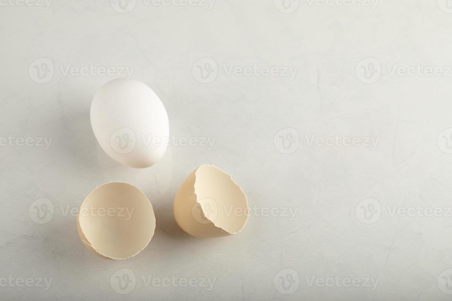 One whole white chicken egg with eggshells photo