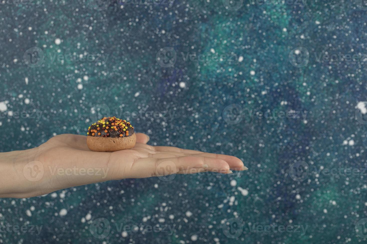 Female hand holding a cookie on a colorful background photo