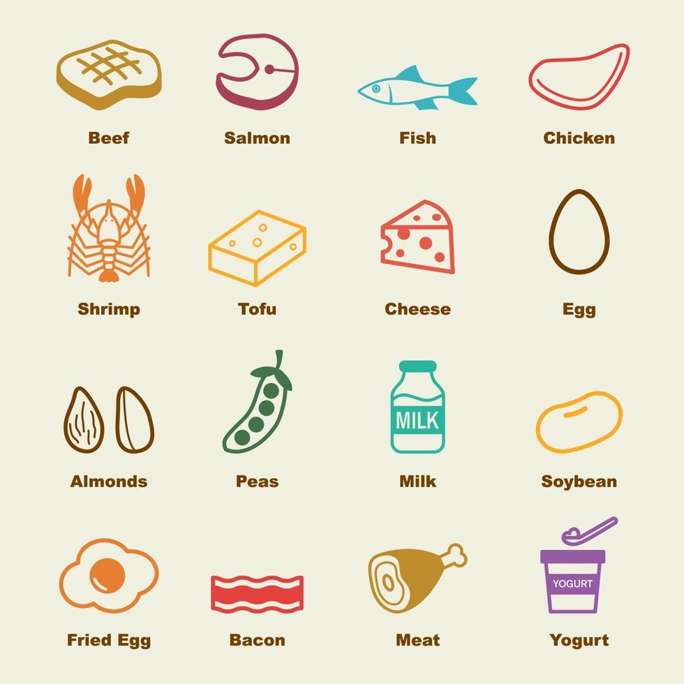 protein food elements vector