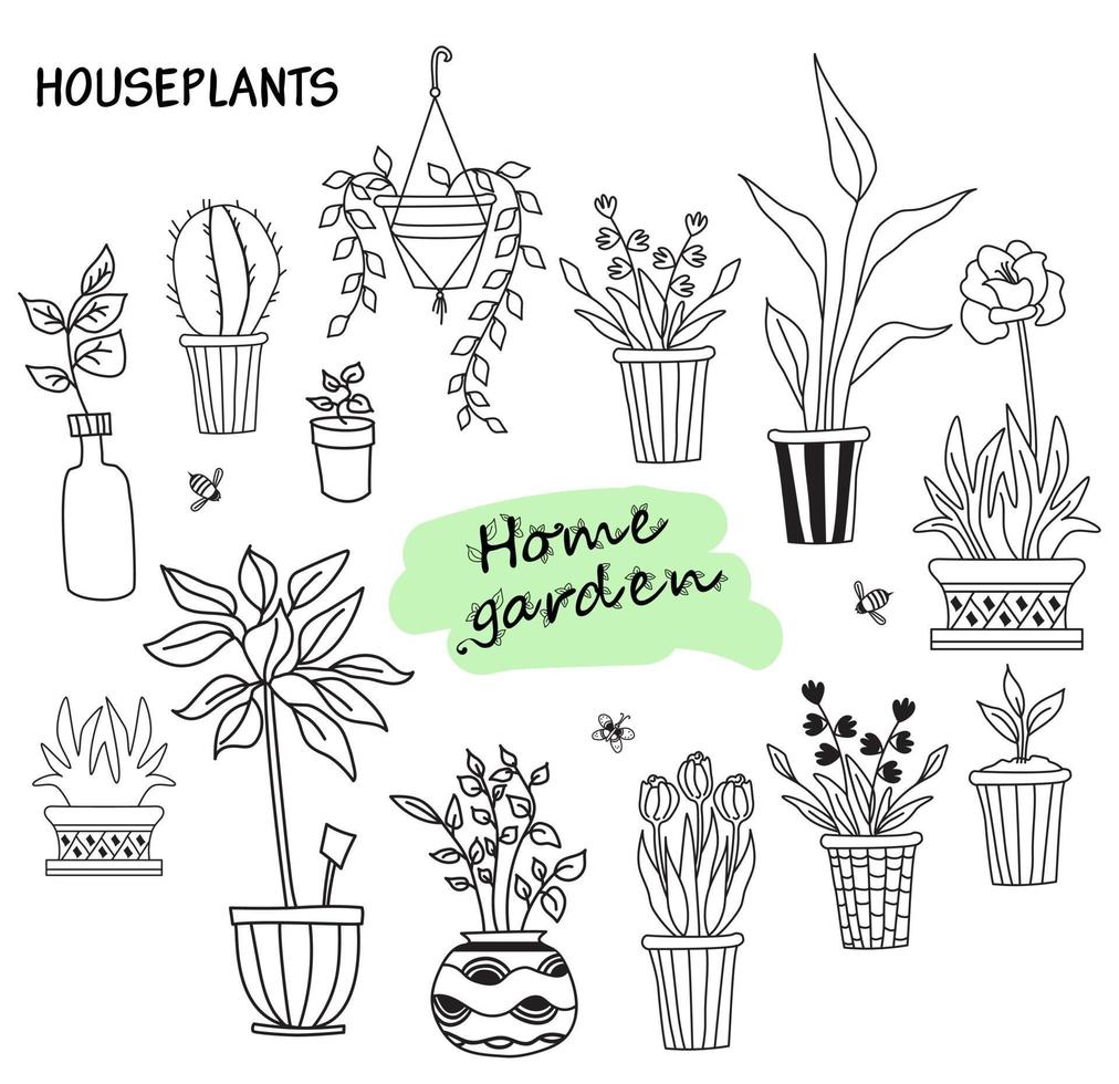 Set of cute indoor plants in pots. House of flowers and human hobbies. Botanical set - many flowerpots - cacti, tulips, flowers, seedlings, aloe, tropic. Weaves and butterflies. Vector line doodles