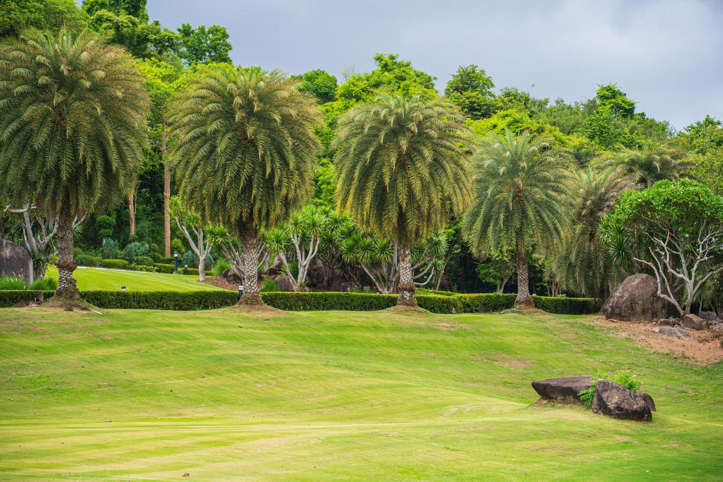 Green grass in a golf court garden photo