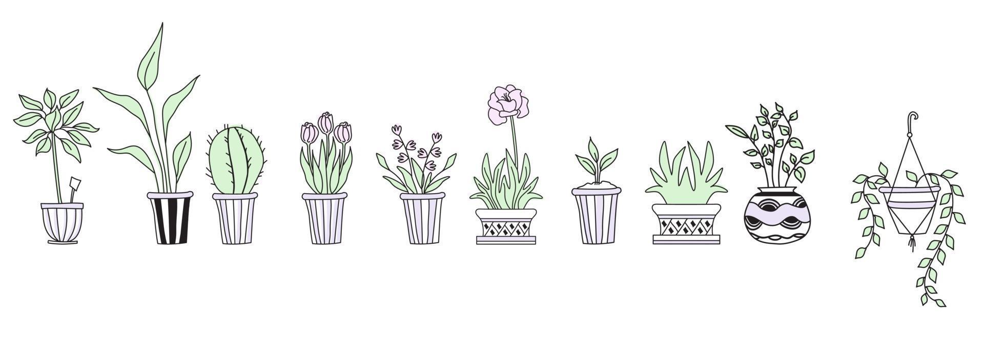 conjunto de lindas plantas de interior en macetas, dibujo a mano. conjunto botánico - muchas macetas - cactus, tulipanes, flores, brotes. dibujo vectorial lineal vector