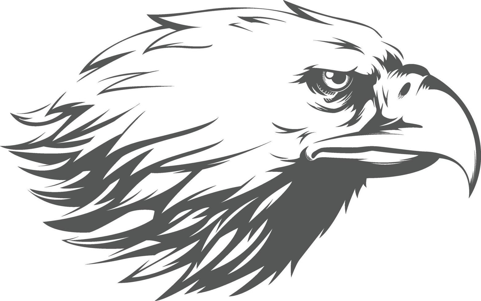 Eagle Falcon Hawk Head Profile Side View Silhouette Black Illustration vector