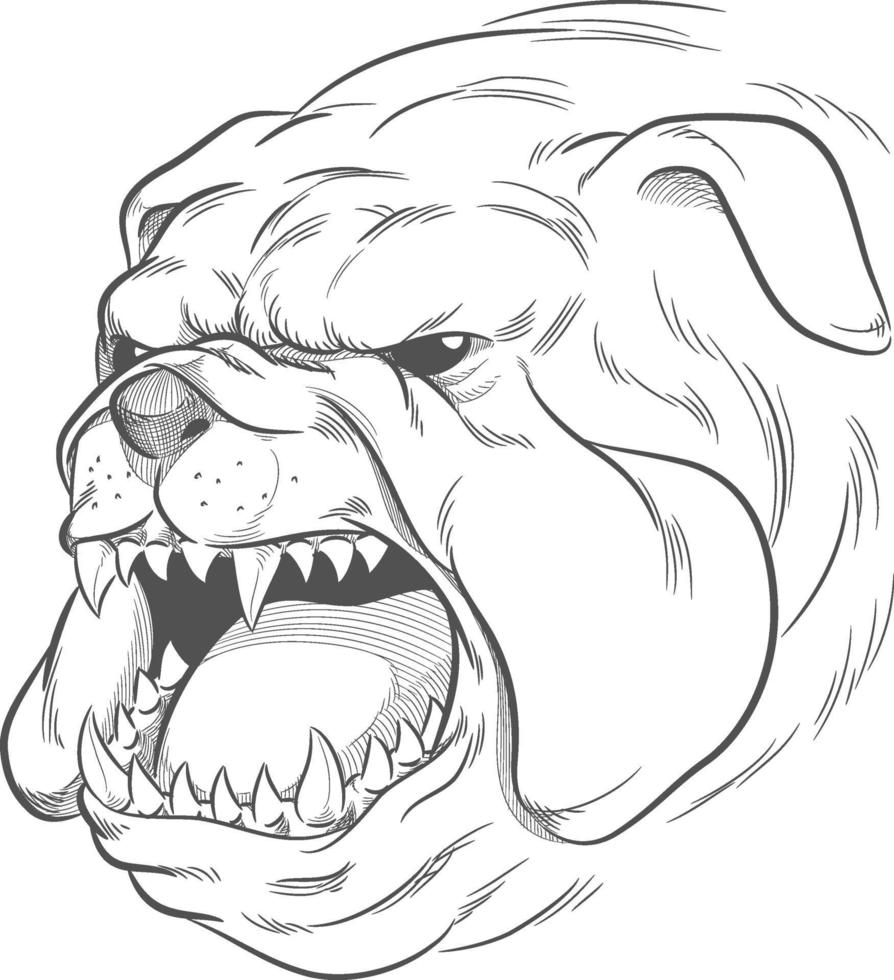 bosquejo, enojado, bulldog, cabeza, ladrando, garabato, ilustración, vector, dibujo vector