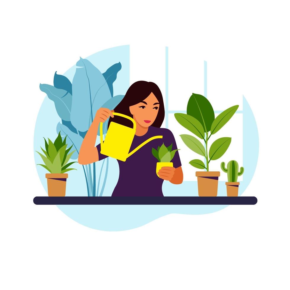 mujer regando plantas de interior en casa. concepto de estilo de vida, jardín de casa y plantas de interior. ilustración vectorial plana. vector