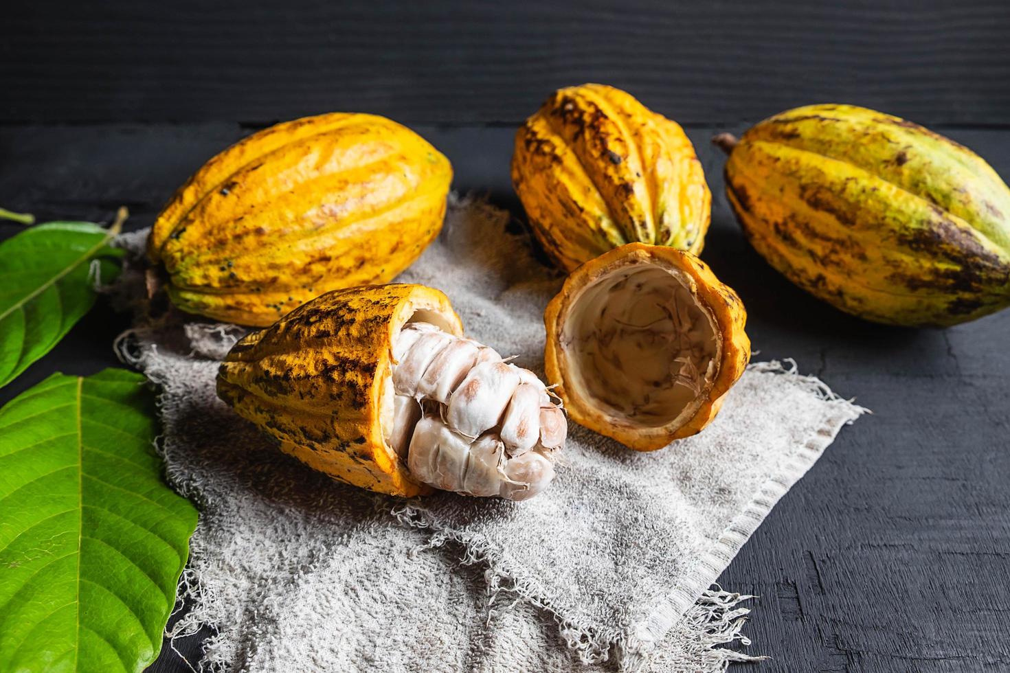 primer plano de fruta de cacao a la mitad foto