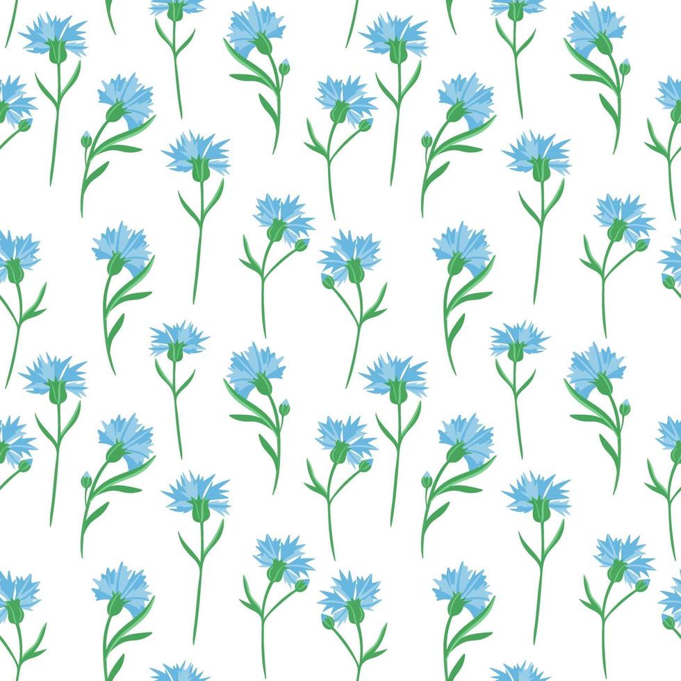 Seamless background with cornflowers. Vector. Delicate solid floral pattern.Blue little wildflowers. vector